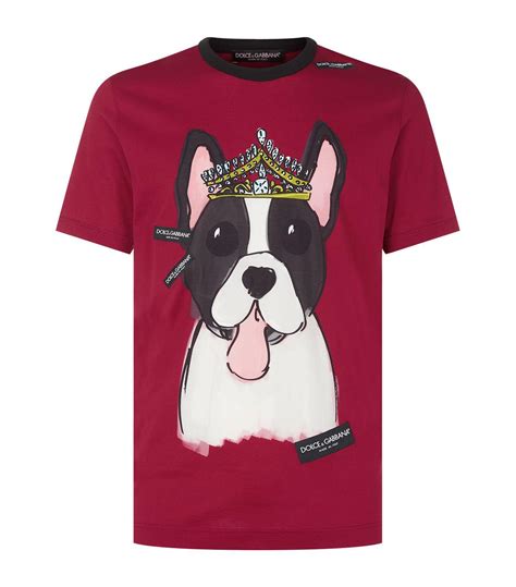 Dolce & Gabbana dog shirts